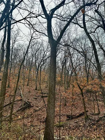 $626,400 | Bar Hollow Dr Road, Blackwater, MO 65322