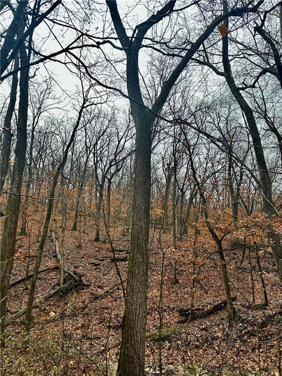 Bar Hollow Dr Road Blackwater, MO 65322 - Photo 23 of 41