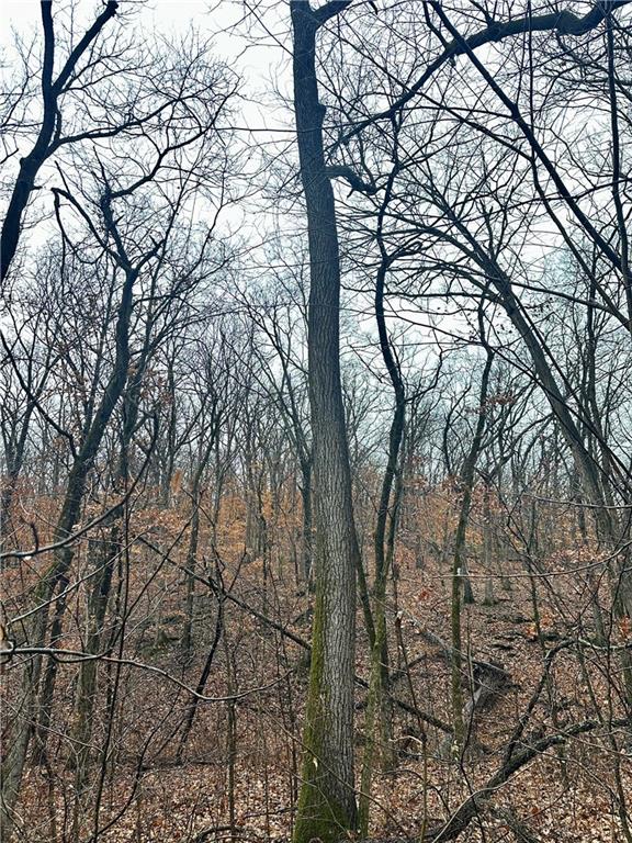 Bar Hollow Dr Road Blackwater, MO 65322 - Photo 24 of 41