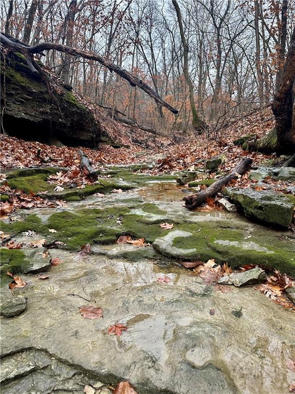 Bar Hollow Dr Road Blackwater, MO 65322 - Photo 25 of 41