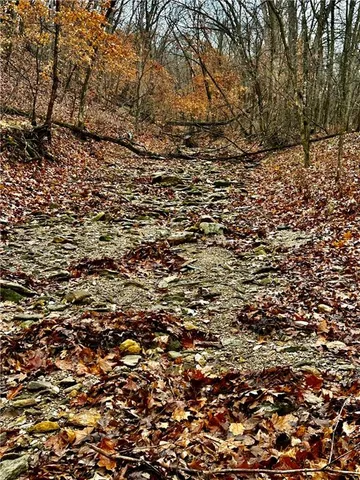 $810,000 | Bar Hollow Dr Road, Blackwater, MO 65322