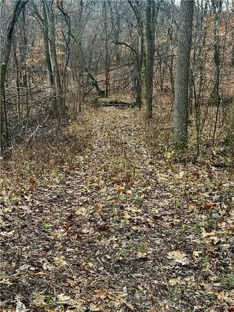 $504,600 | Bar Hollow Dr Road, Blackwater, MO 65322