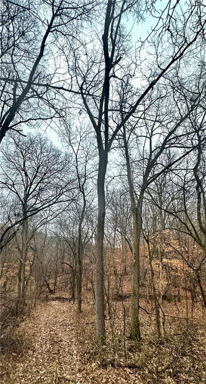 Bar Hollow Dr Road Blackwater, MO 65322 - Photo 28 of 41