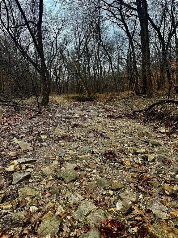 Bar Hollow Dr Road Blackwater, MO 65322 - Photo 29 of 41