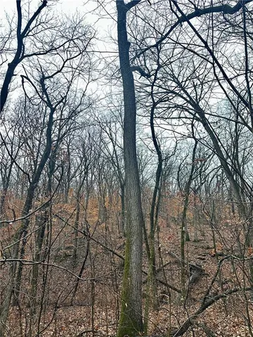 $810,000 | Bar Hollow Dr Road, Blackwater, MO 65322