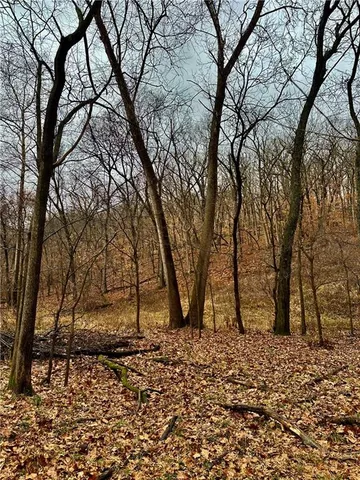 $626,400 | Bar Hollow Dr Road, Blackwater, MO 65322