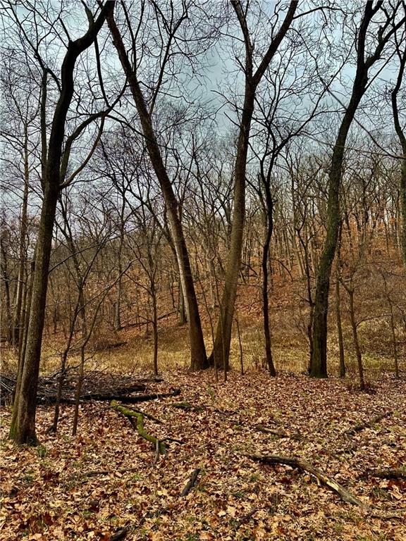 Bar Hollow Dr Road Blackwater, MO 65322 - Photo 32 of 41