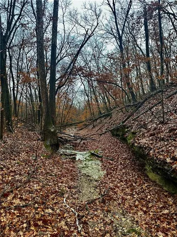 $810,000 | Bar Hollow Dr Road, Blackwater, MO 65322