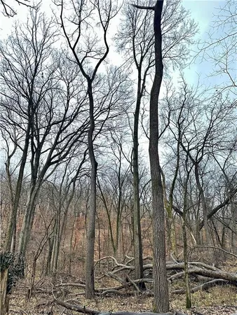 $504,600 | Bar Hollow Dr Road, Blackwater, MO 65322