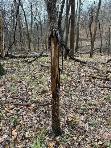 $626,400 | Bar Hollow Dr Road, Blackwater, MO 65322