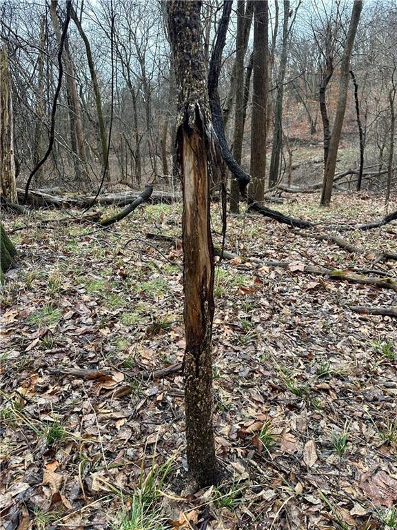 Bar Hollow Dr Road Blackwater, MO 65322 - Photo 34 of 41