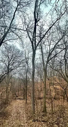 $810,000 | Bar Hollow Dr Road, Blackwater, MO 65322