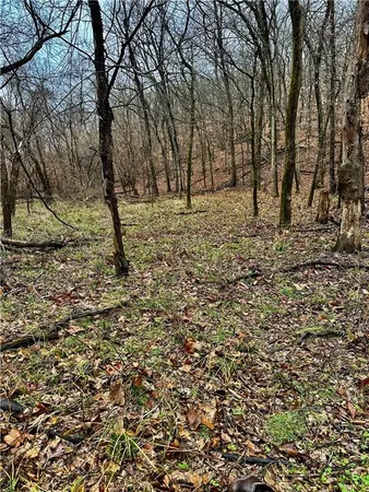 $504,600 | Bar Hollow Dr Road, Blackwater, MO 65322