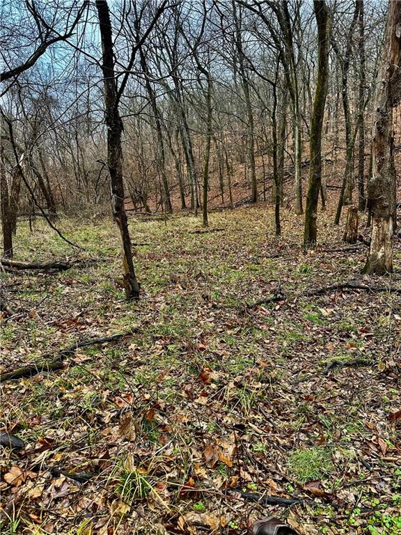 Bar Hollow Dr Road Blackwater, MO 65322 - Photo 35 of 41