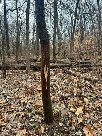 $810,000 | Bar Hollow Dr Road, Blackwater, MO 65322