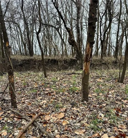 $504,600 | Bar Hollow Dr Road, Blackwater, MO 65322