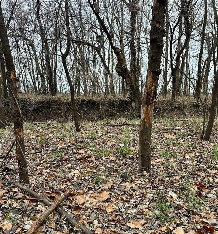 Bar Hollow Dr Road Blackwater, MO 65322 - Photo 36 of 41