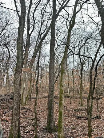 $504,600 | Bar Hollow Dr Road, Blackwater, MO 65322