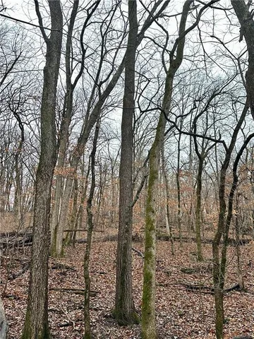 $626,400 | Bar Hollow Dr Road, Blackwater, MO 65322