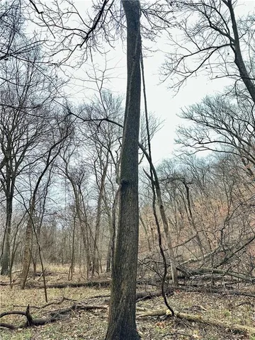 $626,400 | Bar Hollow Dr Road, Blackwater, MO 65322