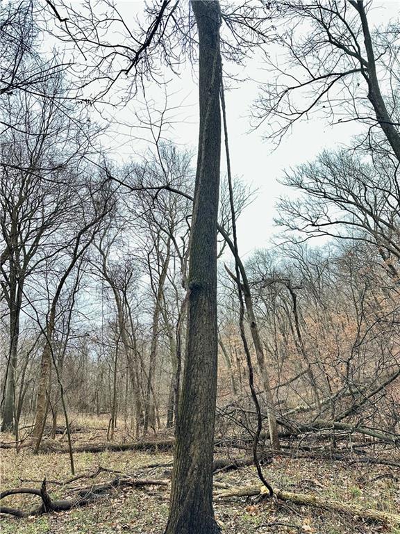 Bar Hollow Dr Road Blackwater, MO 65322 - Photo 38 of 41