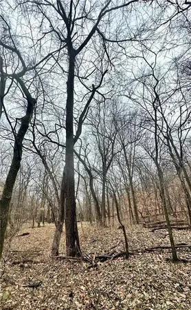 $504,600 | Bar Hollow Dr Road, Blackwater, MO 65322