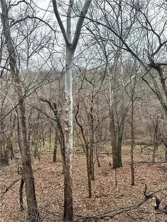 $504,600 | Bar Hollow Dr Road, Blackwater, MO 65322