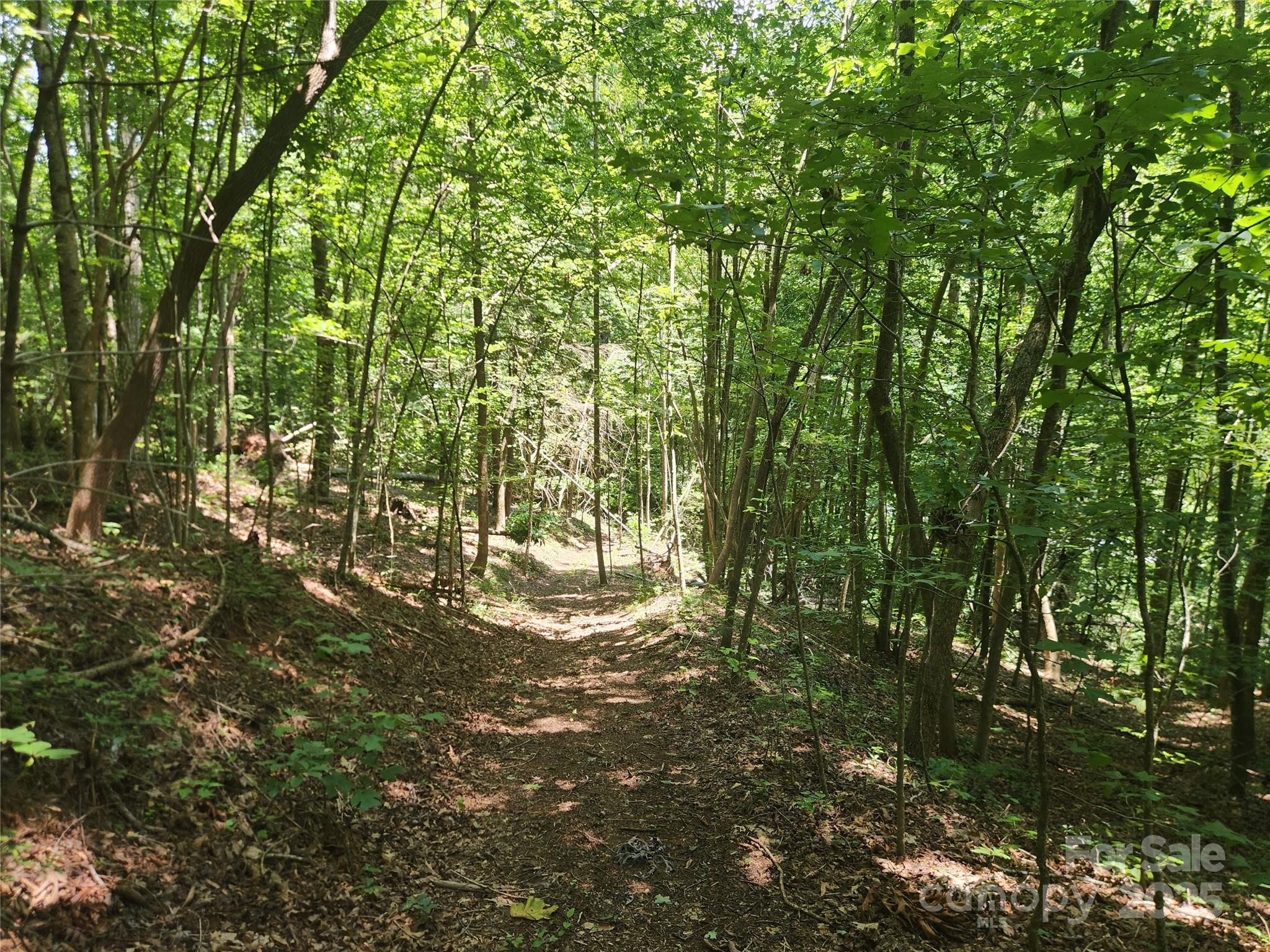 2003 Zacks Fork Road Lenoir, NC 28645 - Photo 2 of 26 a view of outdoor space and a yard