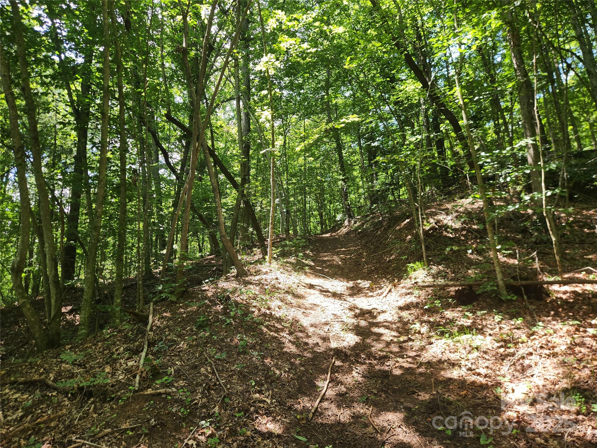 2003 Zacks Fork Road Lenoir, NC 28645 - Photo 22 of 26 a view of a tree in a yard
