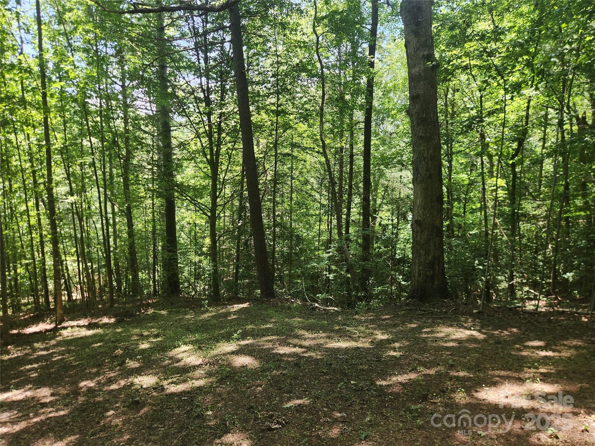 2003 Zacks Fork Road Lenoir, NC 28645 - Photo 24 of 26 a view of outdoor space and green space
