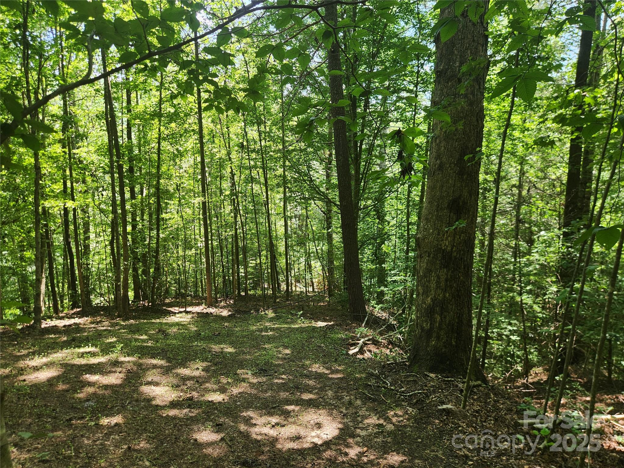 2003 Zacks Fork Road Lenoir, NC 28645 - Photo 26 of 26 a view of outdoor space with deck and yard