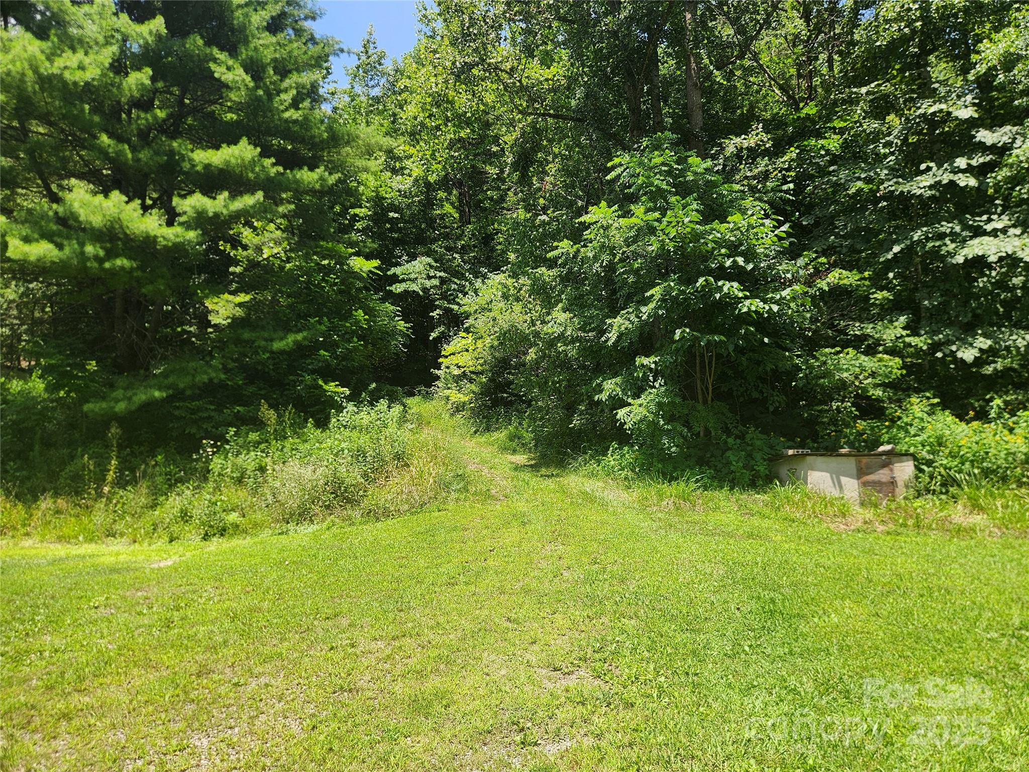 2003 Zacks Fork Road Lenoir, NC 28645 - Photo 4 of 26