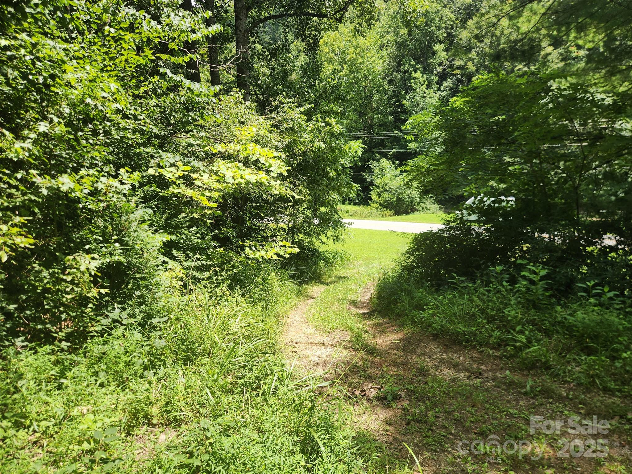 2003 Zacks Fork Road Lenoir, NC 28645 - Photo 5 of 26 a view of a garden