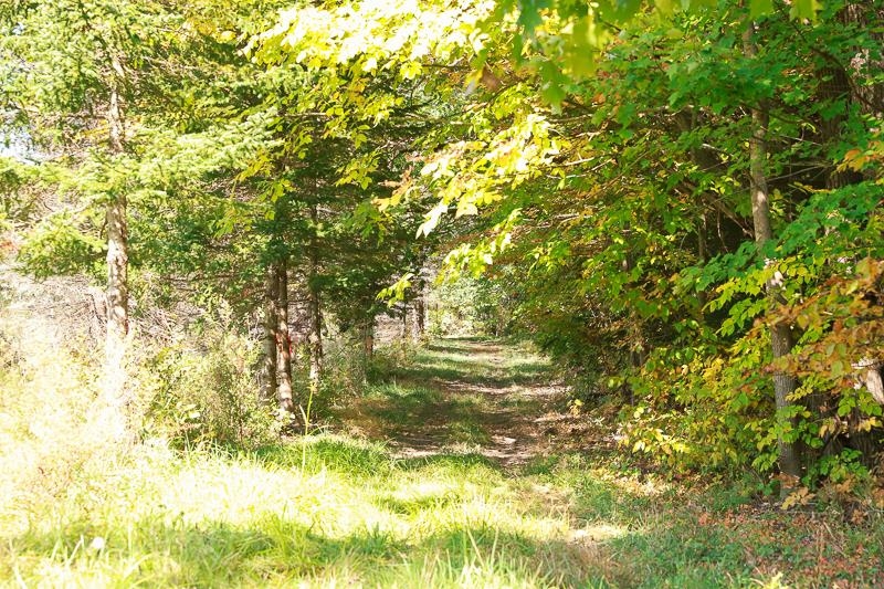 0 Dallinger Road New Haven, VT 05472 - Photo 1 of 10