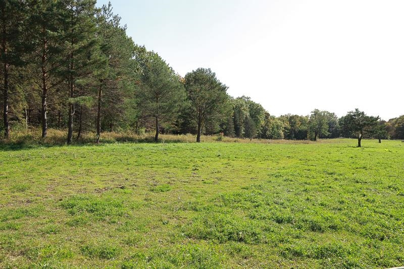 0 Dallinger Road New Haven, VT 05472 - Photo 2 of 10