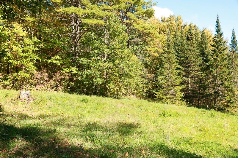 0 Dallinger Road New Haven, VT 05472 - Photo 5 of 10