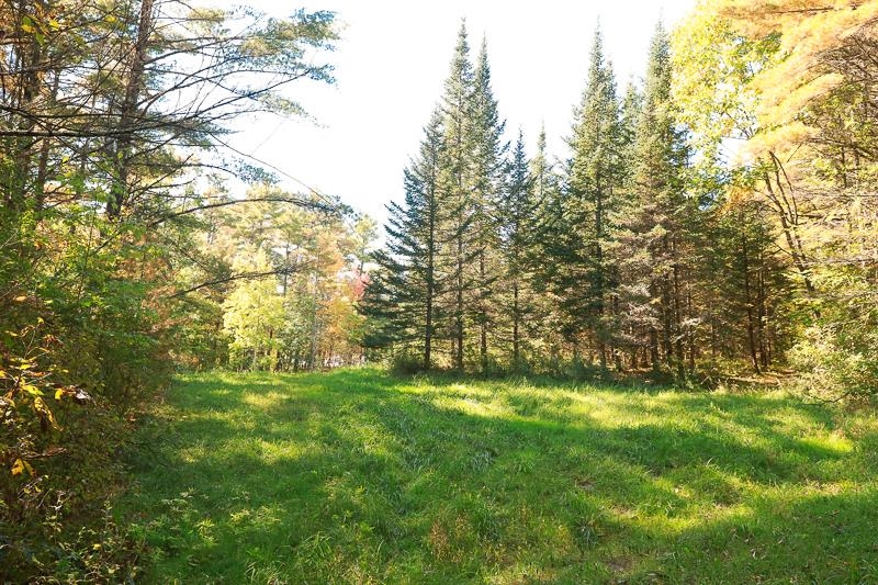 0 Dallinger Road New Haven, VT 05472 - Photo 6 of 10