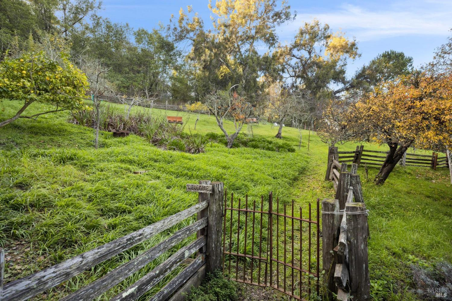 42-50 Grove Street San Rafael, CA 94901 - Photo 7 of 52 42-50 Grove-Rolling gentel knoll that backs to open space