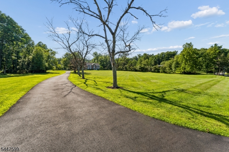 20 East Ridge Road Skillman, NJ 08558 - Photo 37 of 41