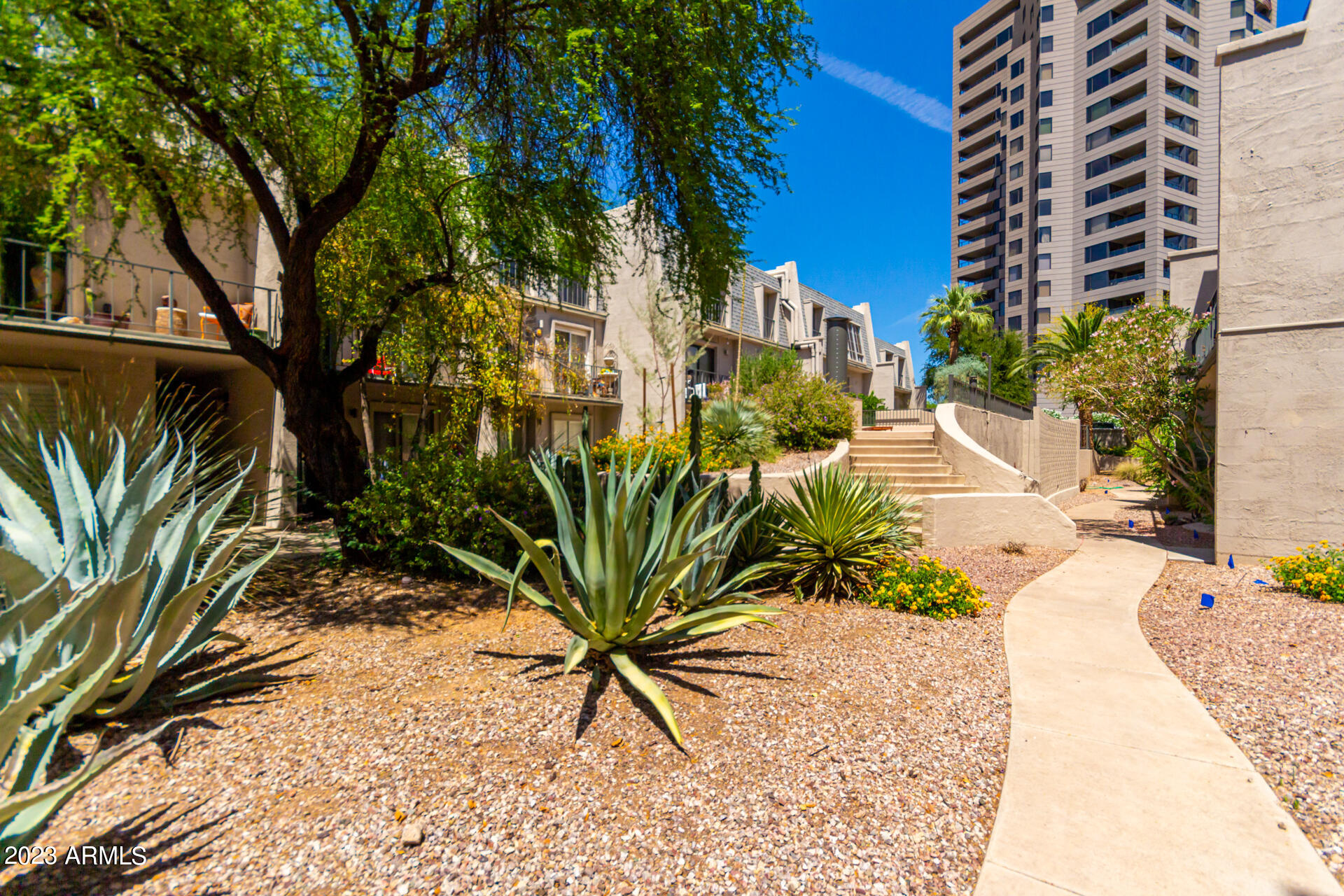 1024 East Osborn Road, Unit B Phoenix, AZ 85014 - Photo 21 of 21 a view of a palm trees in front of a building