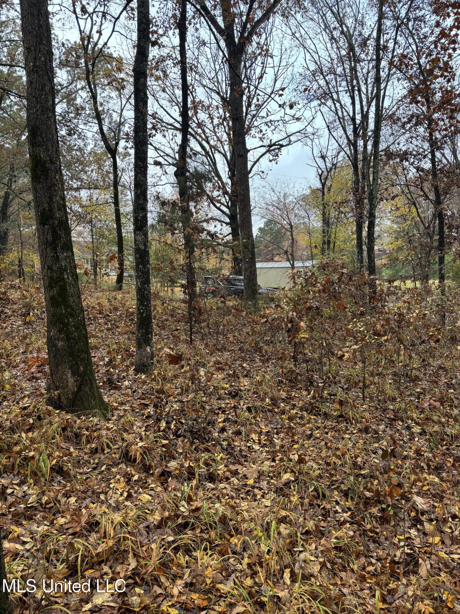 Alexander Drive Olive Branch, MS 38654 - Photo 5 of 7 IMG_0995