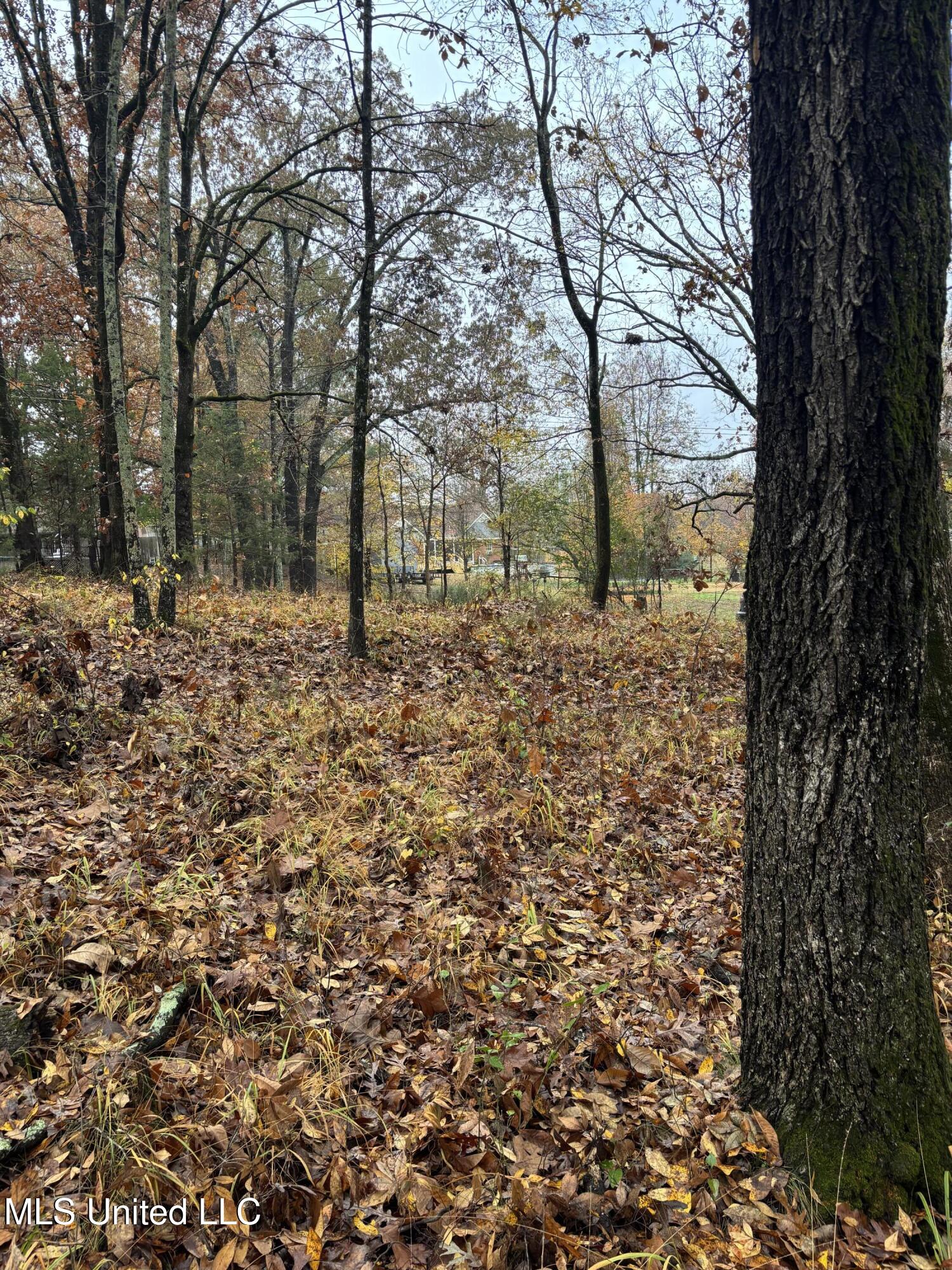 Alexander Drive Olive Branch, MS 38654 - Photo 7 of 7 IMG_0992