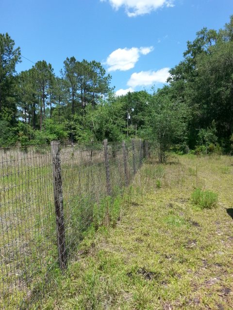 2333 Pecks Road Perry, FL 32347 - Photo 4 of 5