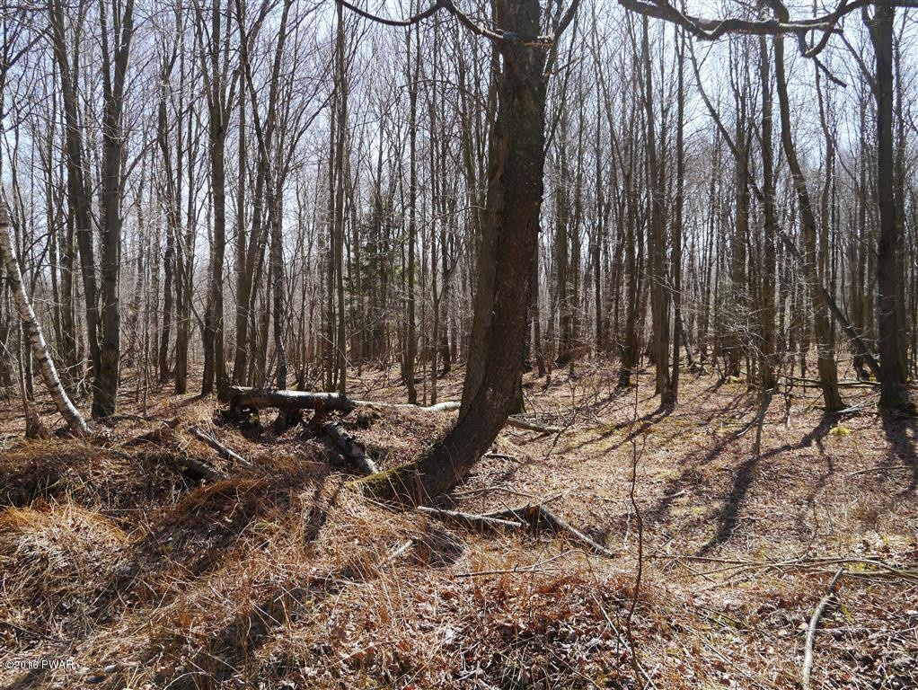 50 Poplar Road Pleasant Mount, PA 18453 - Photo 6 of 6