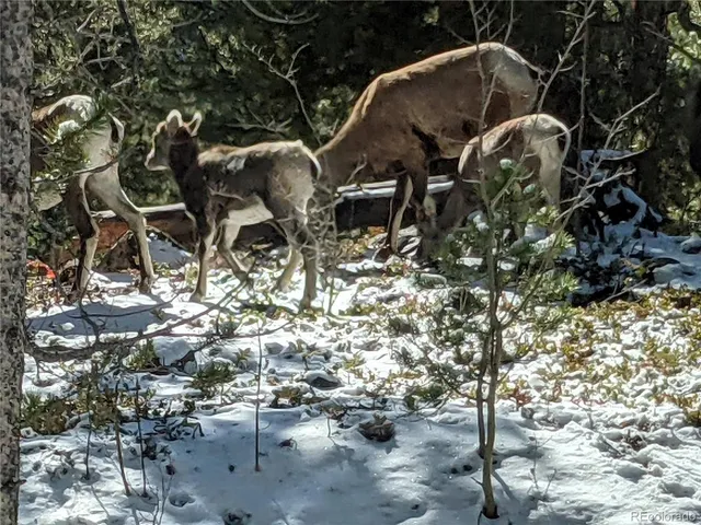 $72,000 | 1073 Sequoia Drive, Twin Lakes, CO 80461