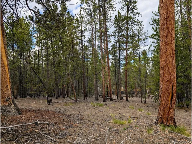 $72,000 | 1073 Sequoia Drive, Twin Lakes, CO 80461