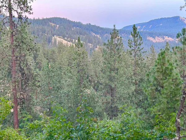 $30,000 | Tbd Highland Highland Court, Orofino, ID 83544