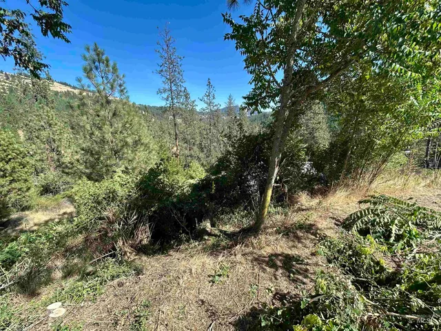 $35,000 | Tbd Highland Highland Court, Orofino, ID 83544