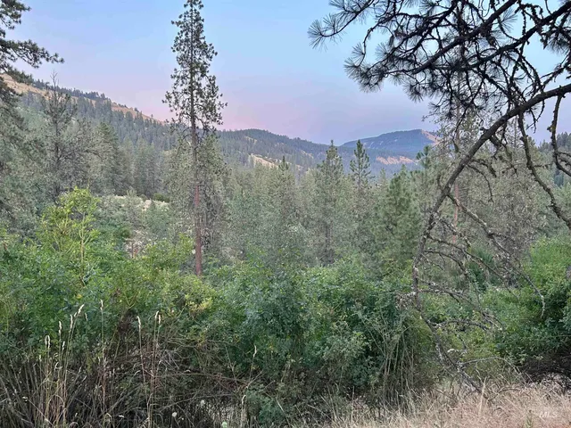 $35,000 | Tbd Highland Highland Court, Orofino, ID 83544
