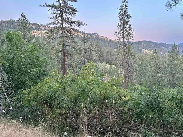$35,000 | Tbd Highland Highland Court, Orofino, ID 83544